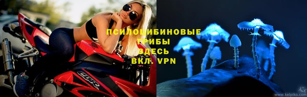 хмурый Балабаново