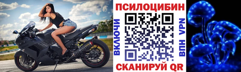 Купить закладки  Свирск  Галлюциногенные грибы мицелий 