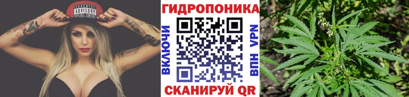 Купить где  Свирск  Каннабис AK-47 